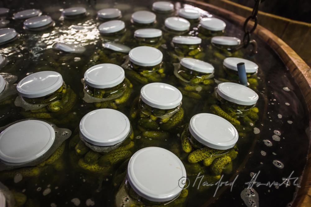 pasteurizing of cucumbers in a big wooden vat