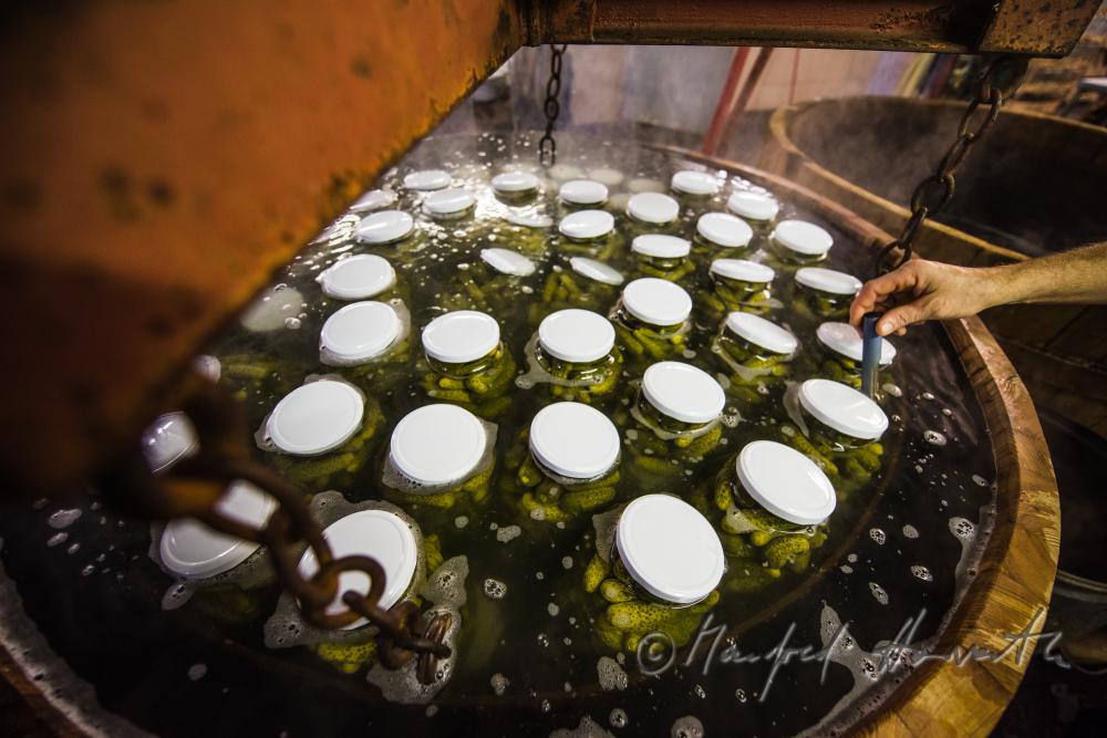 pasteurizing of cucumbers in a big wooden vat