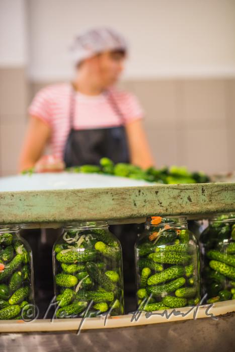 washing and filling of gherkins in glasses