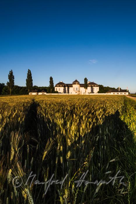 Castle Niederweiden and barley field