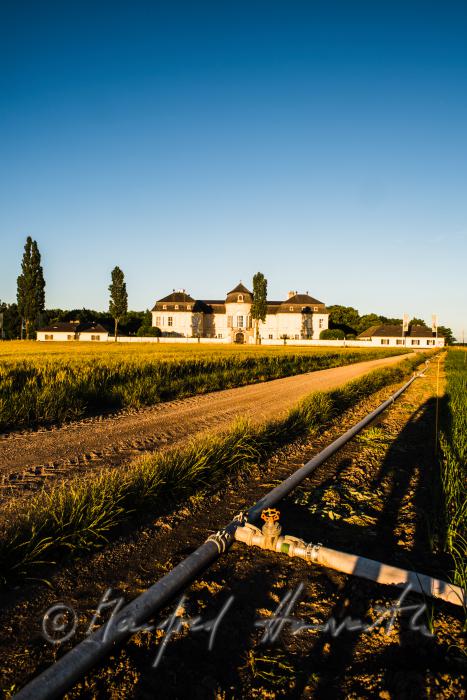 Castle Niederweiden and irrigation system