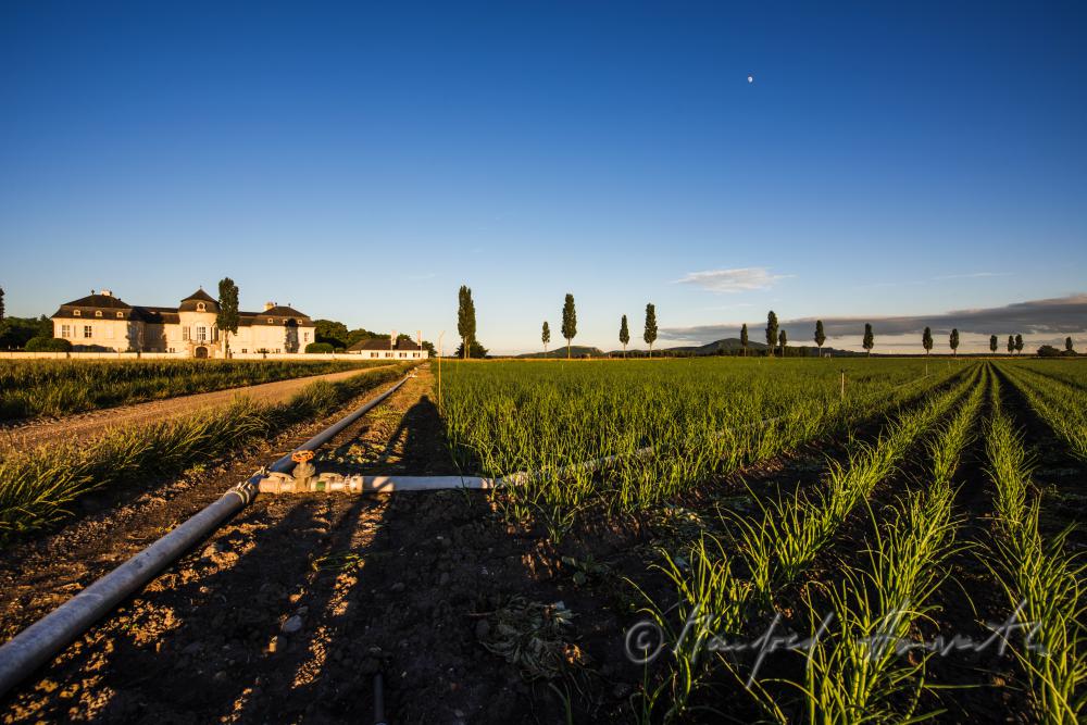 Castle Niederweiden and irrigation system