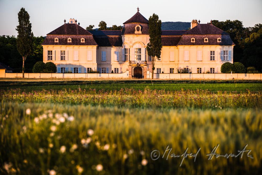 Castle Niederweiden and barley field
