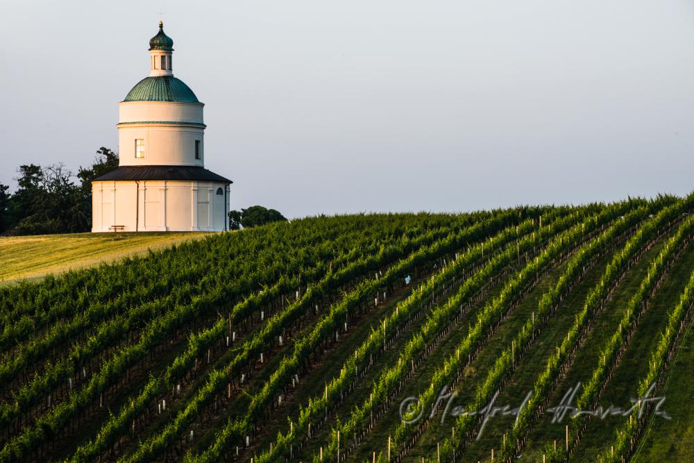 Rochuskapelle on the Rochusberg