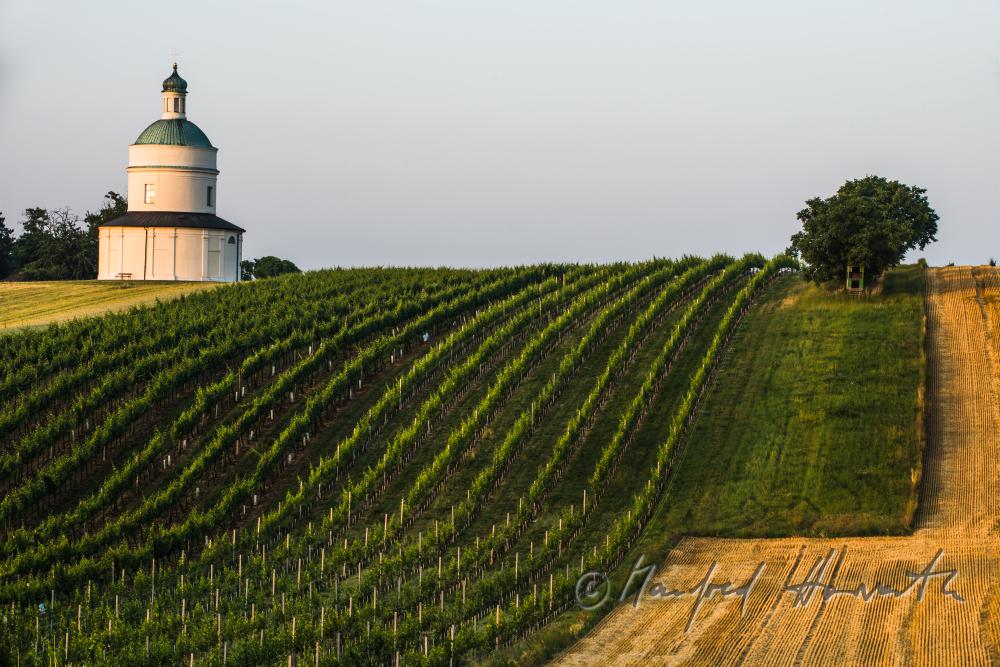 Rochuskapelle on the Rochusberg