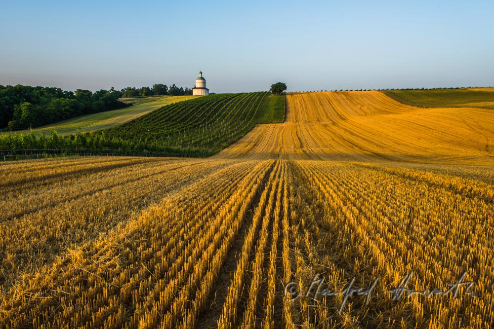Rochuskapelle on the Rochusberg