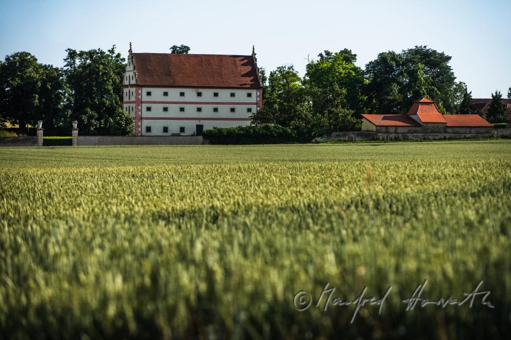 corn field and granary