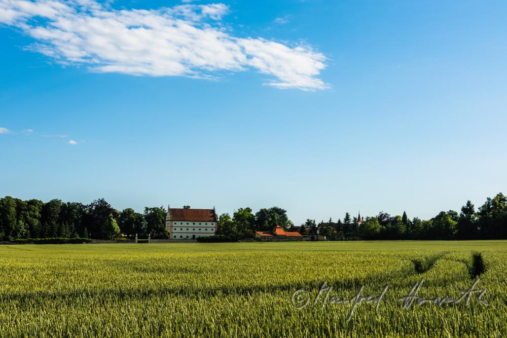 corn field and granary