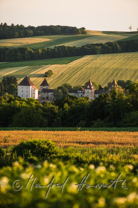 view from the hill to the Castle Steinabrunn