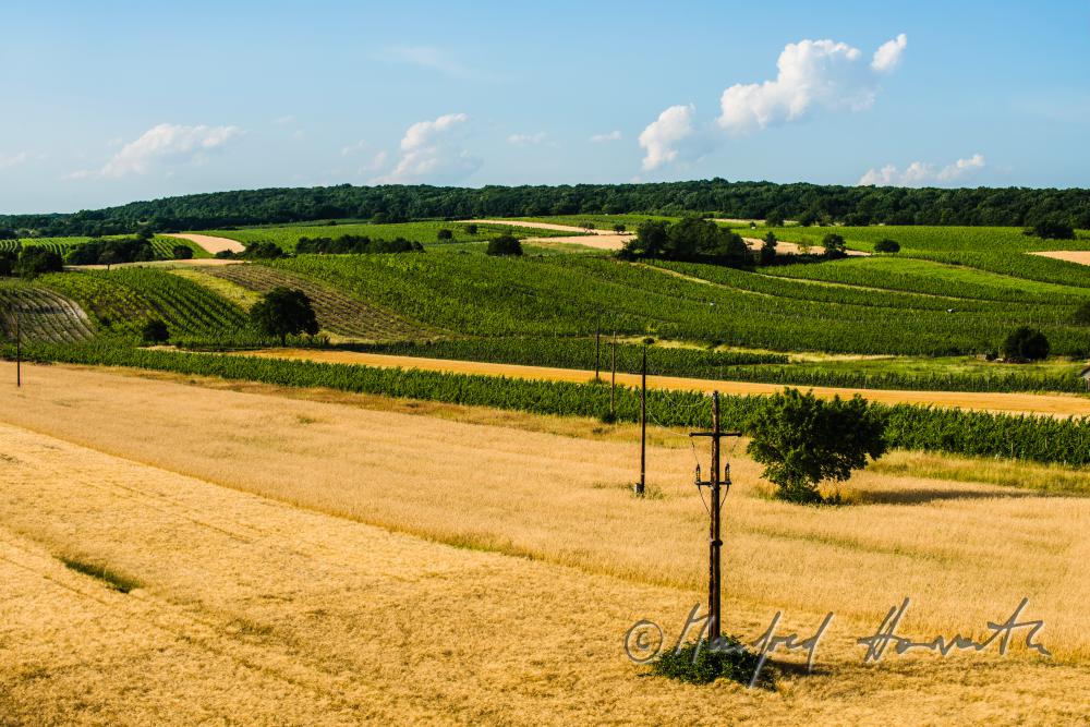 view fron the village to the Leithagebirge