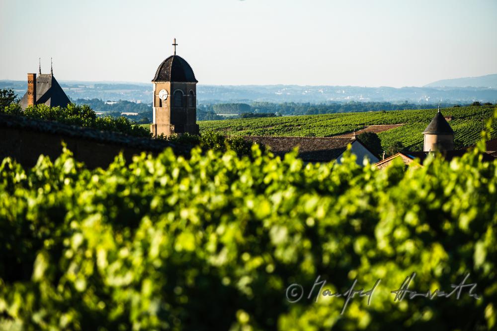 castle and vineyards around the wine region Beaujolais