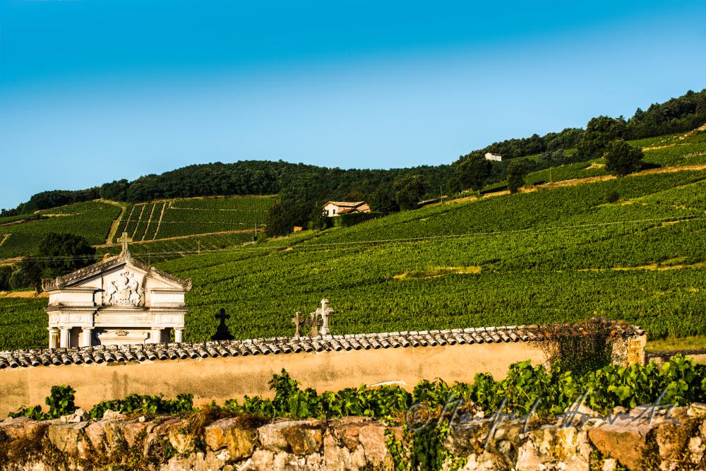 cemetery and vineyards around the wine region Beaujolais