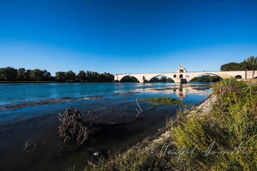 Bridge of Avignon (