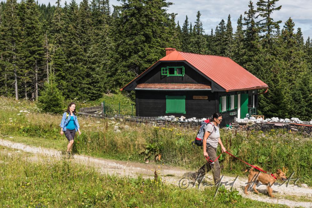 hikers with dog on the panorama path