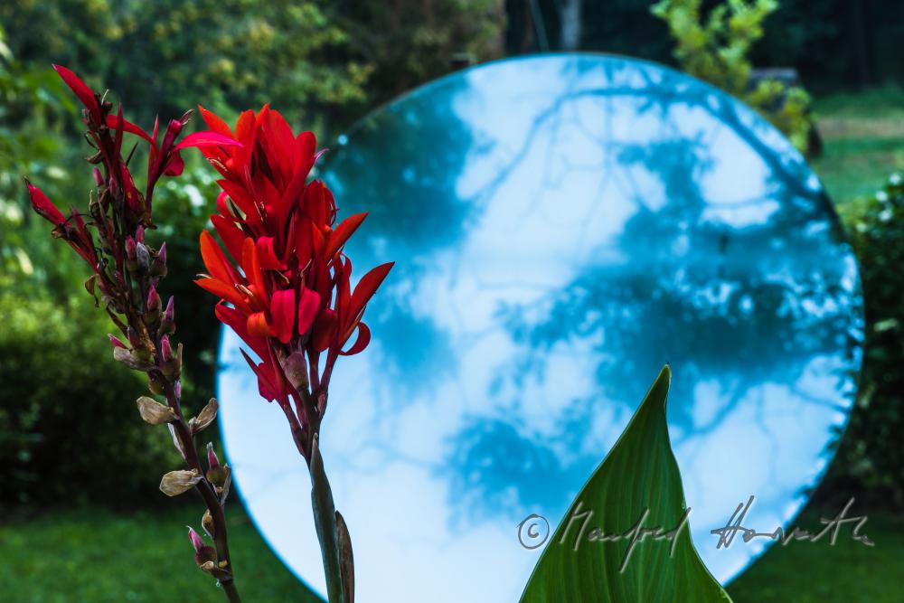 mirror (art piece) in the garden