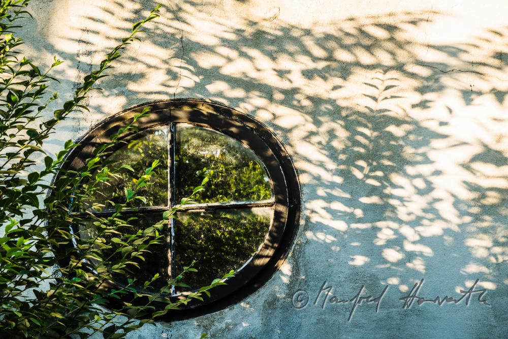 egg-shaped window and plants in the garden