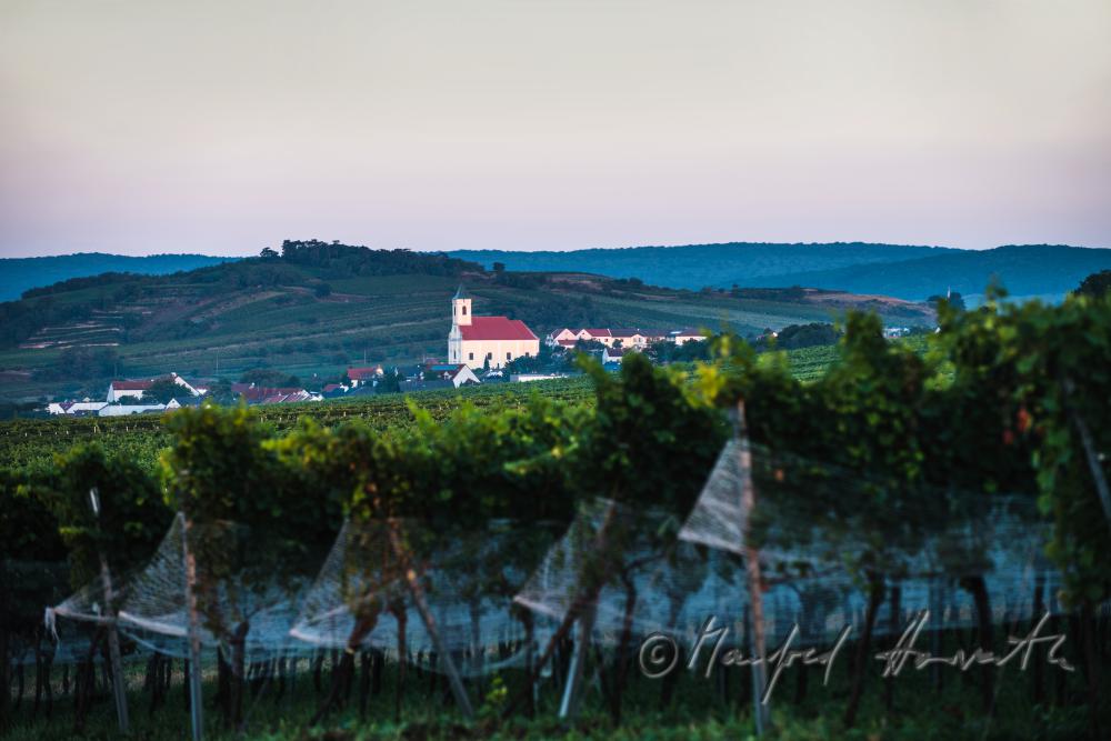 view fron Neusiedl to Jois and the Leithagebirge