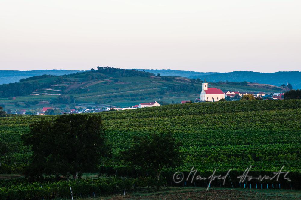 view fron Neusiedl to Jois and the Leithagebirge