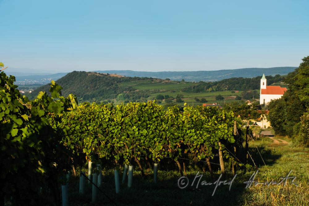view fron Neusiedl to Jois and the Leithagebirge