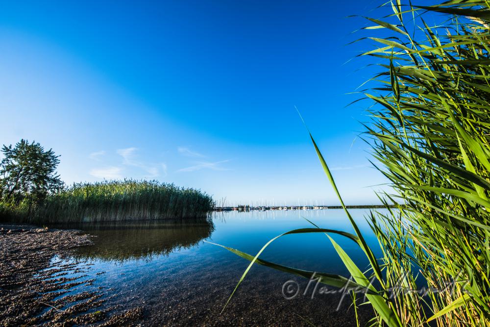 sailing boat in the reed canal on the way to the open lake
