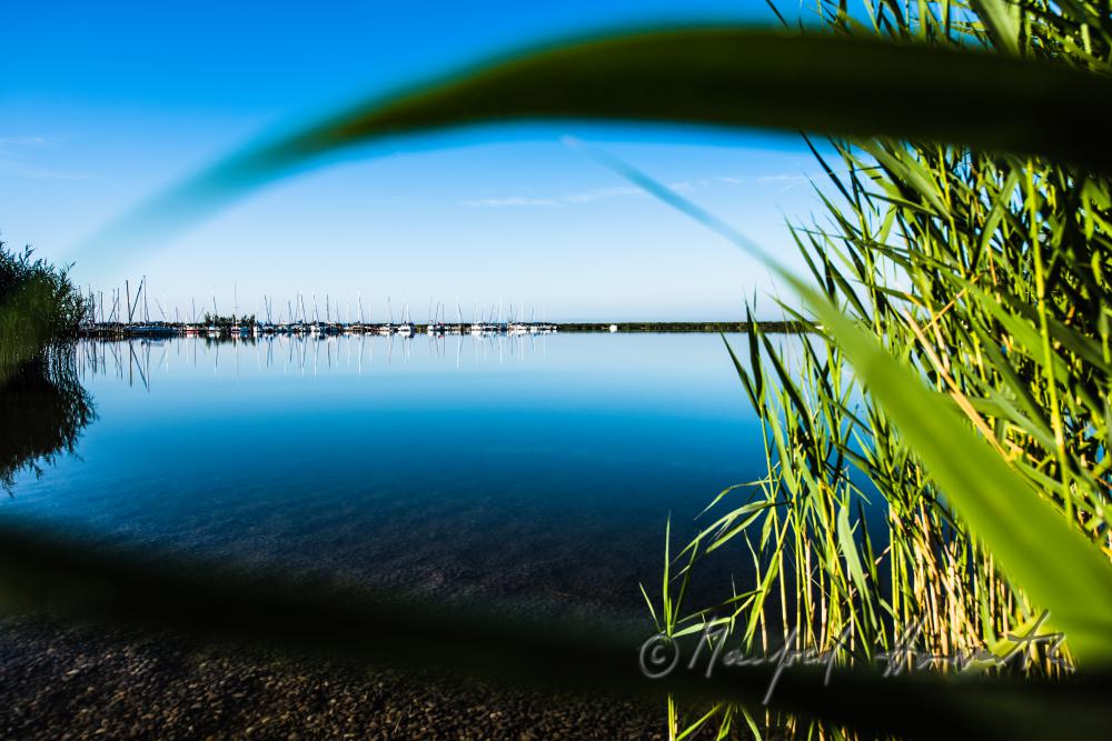 sailing boat in the reed canal on the way to the open lake
