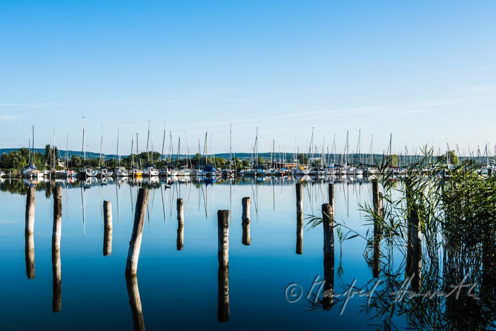 view fron the harbour to the Leithagebirge