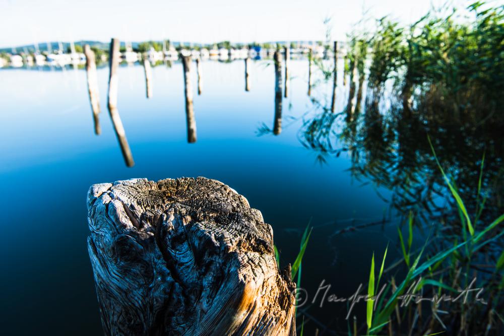 old wooden post of a rotten pontoon in the harbour