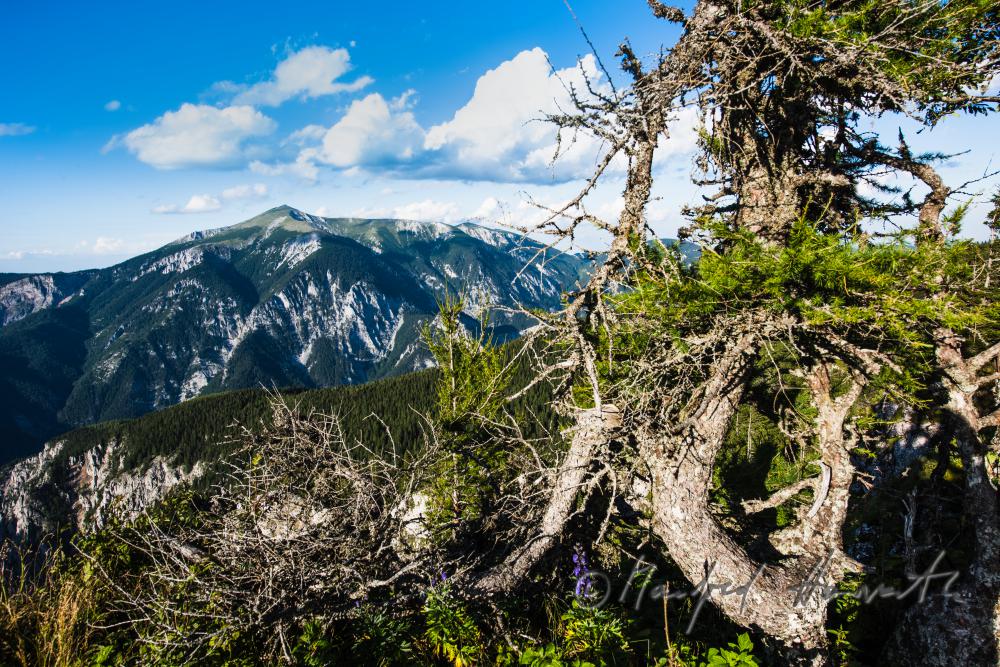 view into the valley 