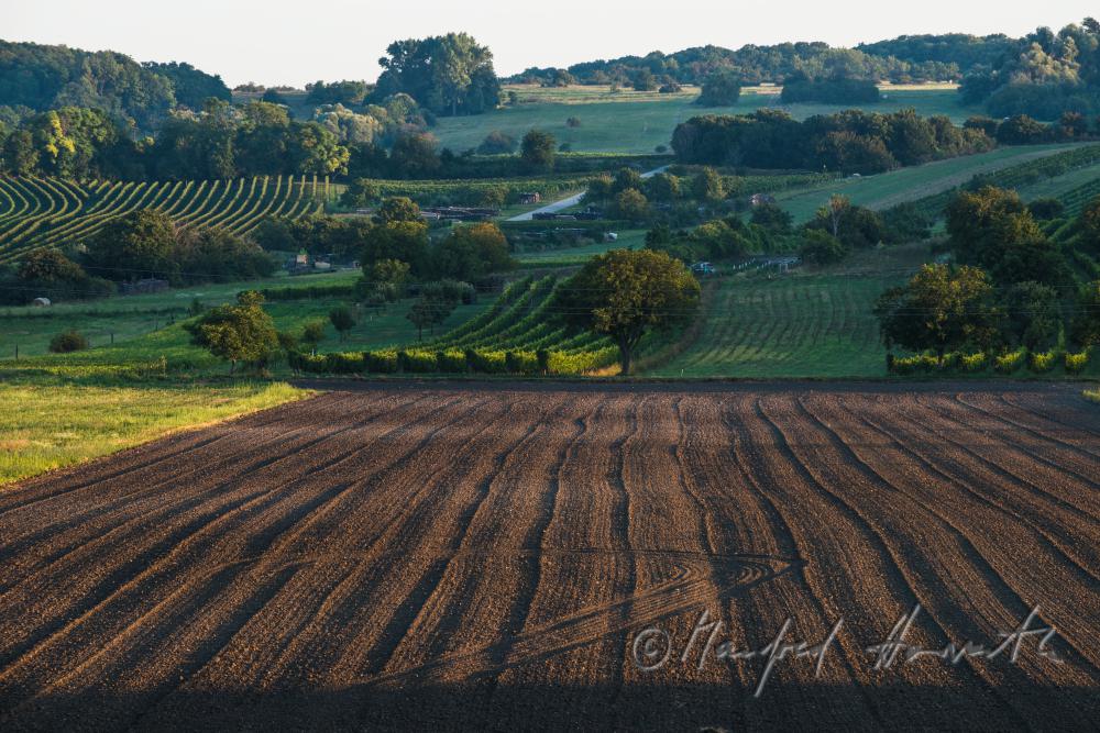view fron the village to the Leithagebirge