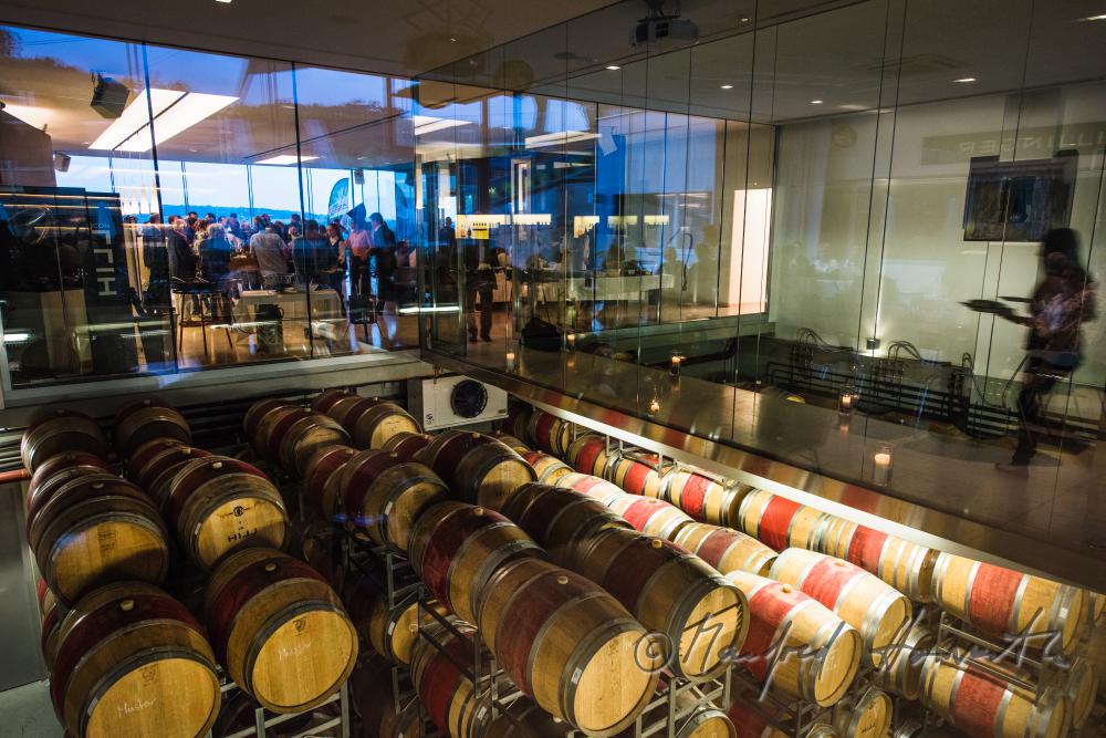 wine tasting in the Wine Estate Hillinger