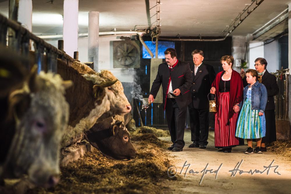 fumigation of the bull stable on a Twelfth Night