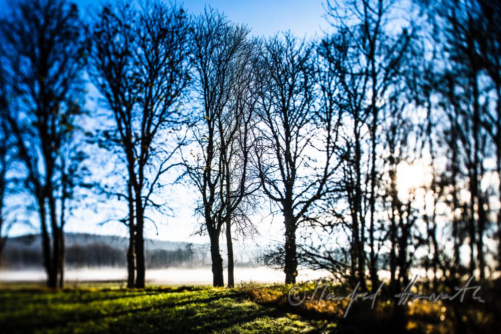 morning mist over the flood plains of the Rver Traisen