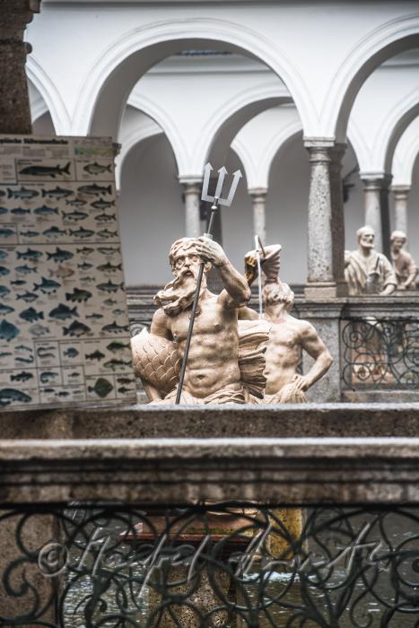 baroque statue of Neptun at the fish tank