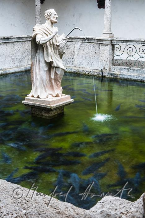 baroque statue of Saint Peter at the fish tank