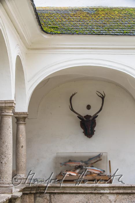 baroque colonnade with hunting trophies