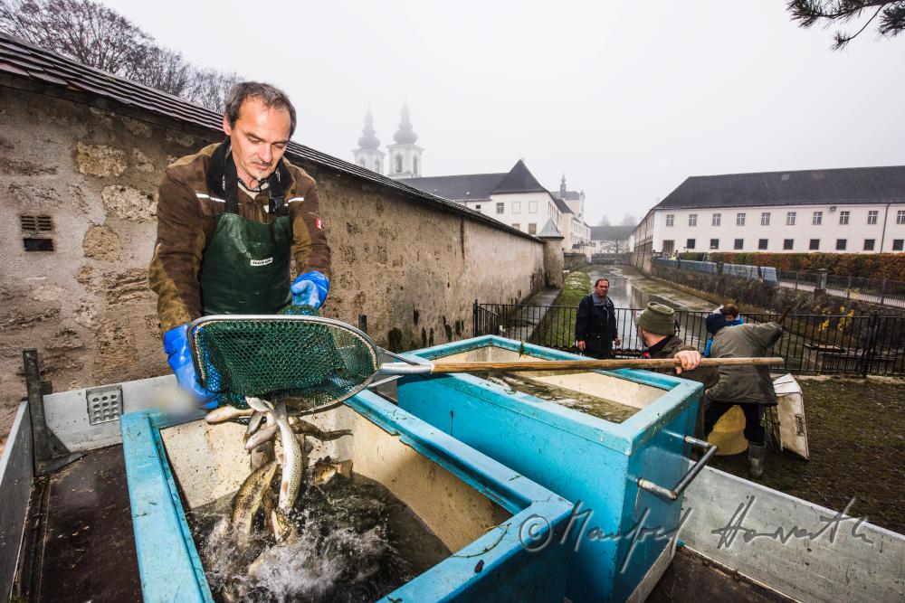 fishermen at the trout pond of the monastery
