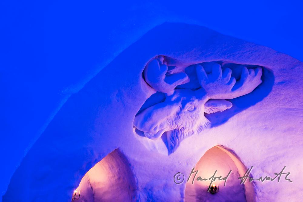 ice sculpture showing a moose as a decoration in the Igloo Hotel