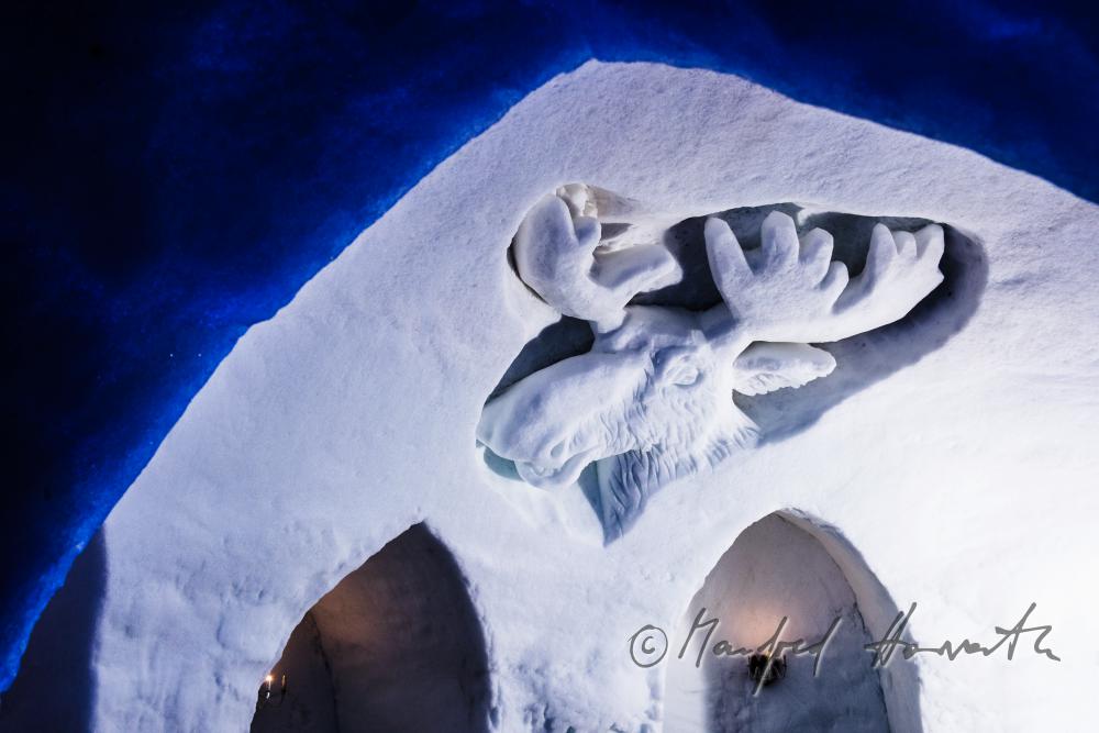 ice sculpture showing a moose as a decoration in the Igloo Hotel