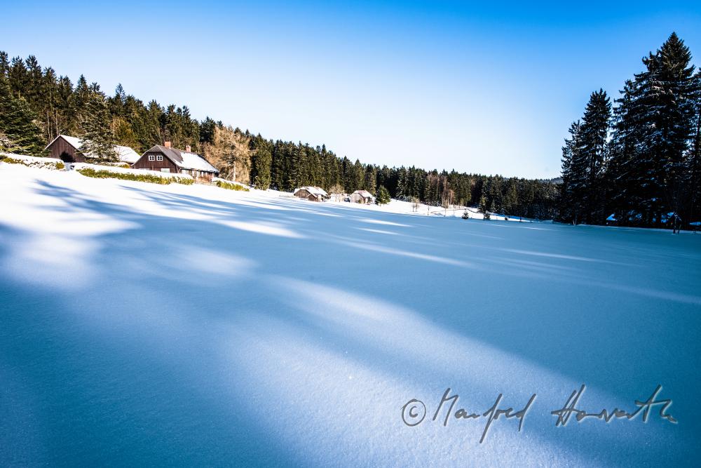 forester's house on a plain near the forest