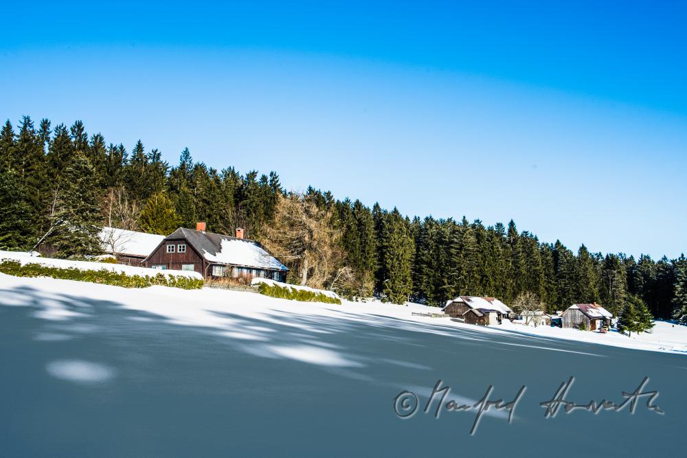 forester's house on a plain near the forest