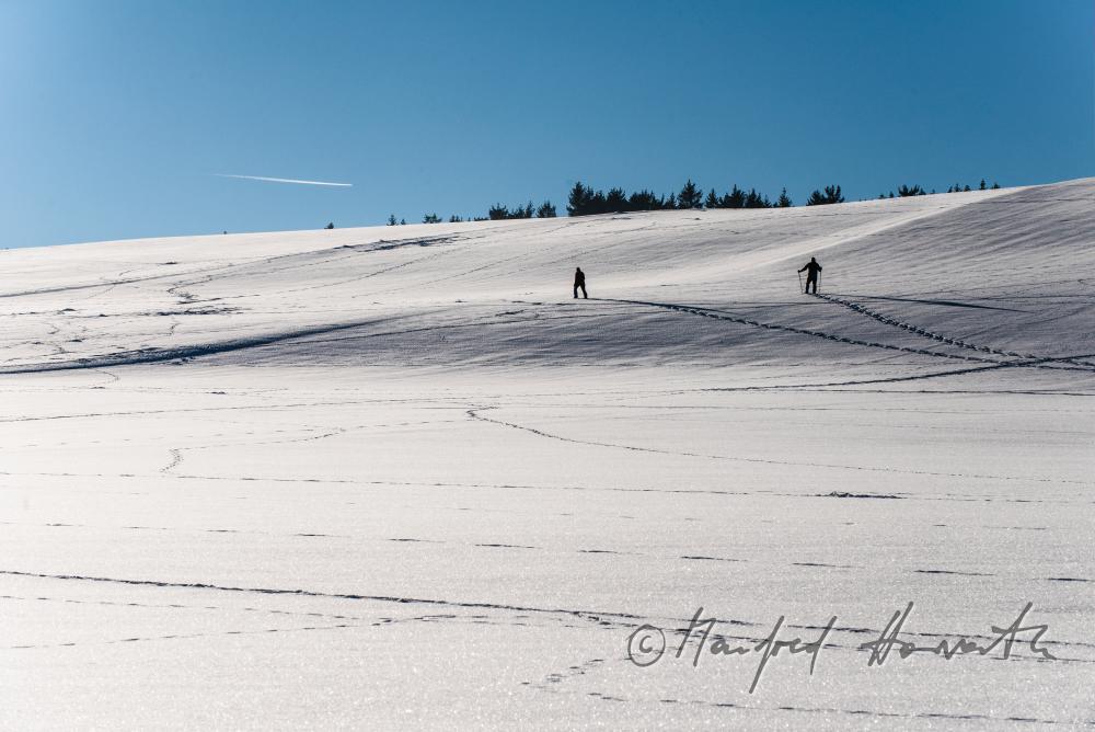 cross-country skiers passing an expanse landscape