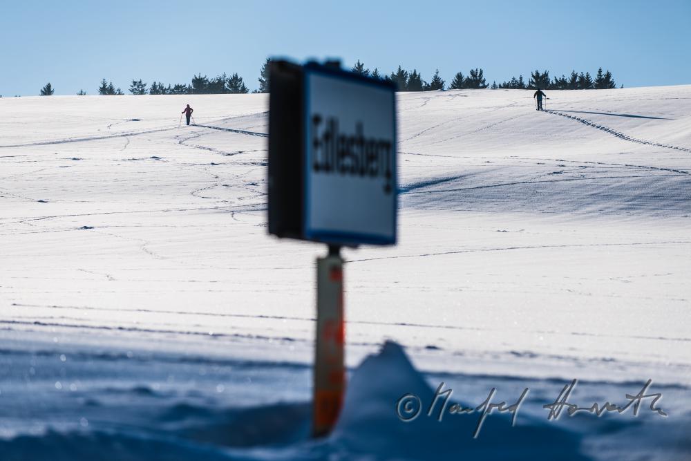 cross-country skiers passing an expanse landscape
