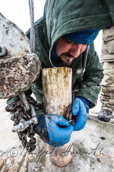pulling out rotten pickets from the frozen lake
