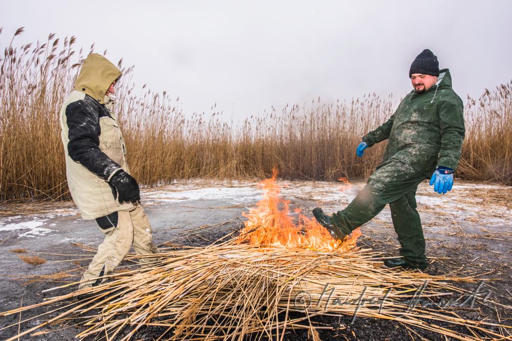 picket-worker warming up on burning reed