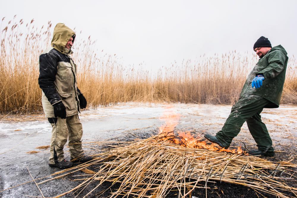 picket-worker warming up on burning reed