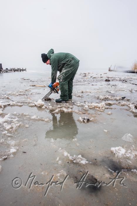 pulling out rotten pickets from the frozen lake