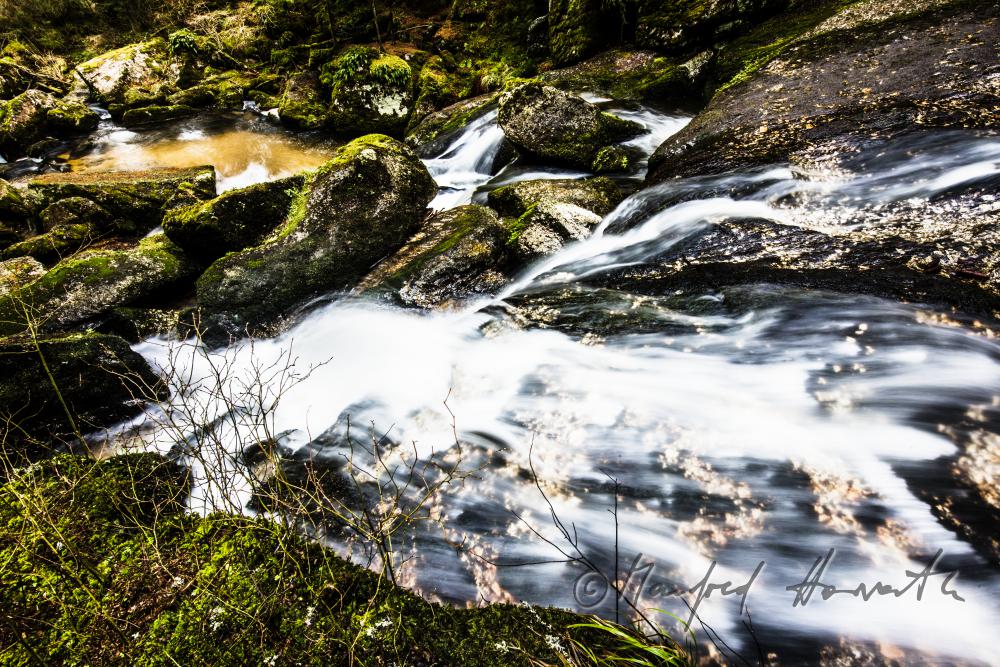 Lohnbachfall and granite bouldrs in the forest
