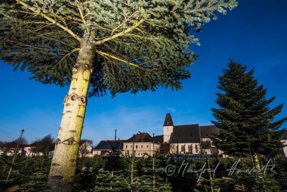 church of pilgrimage 