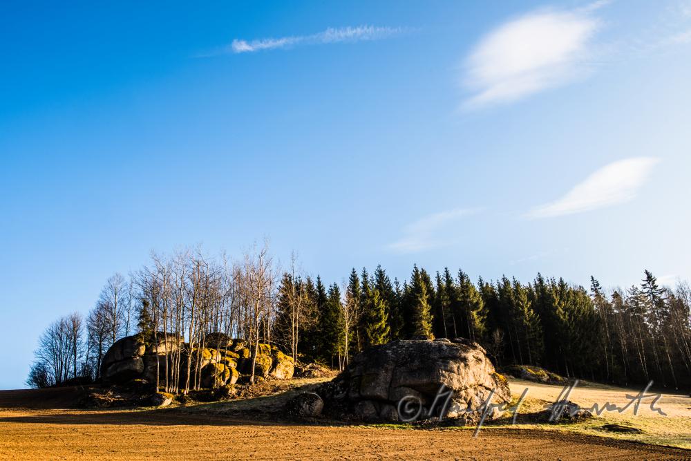granite boulders near a forest