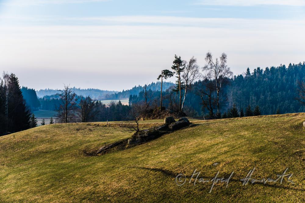granite boulders near a forest